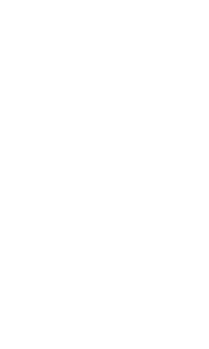 Spurs logo